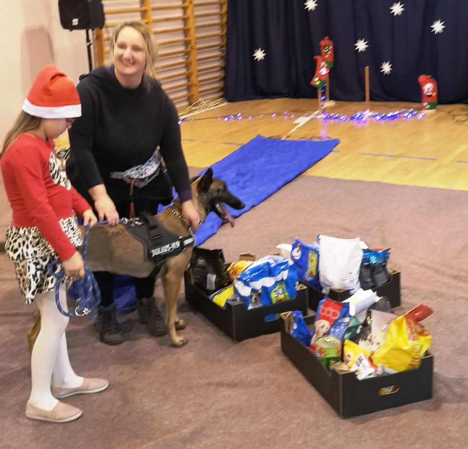 2019 karma dla psów