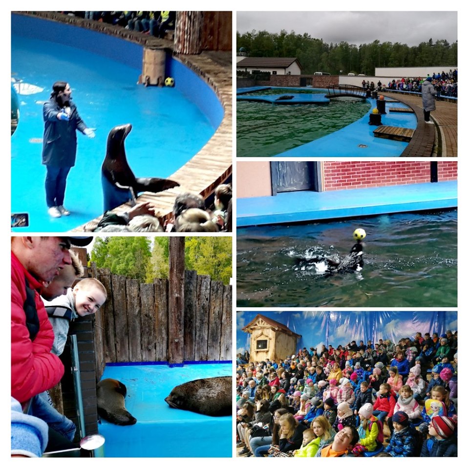 2019 zielona szkoła 3